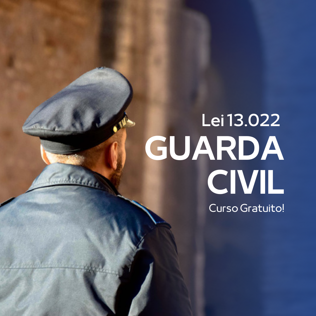Lei 13022 – LGDGM